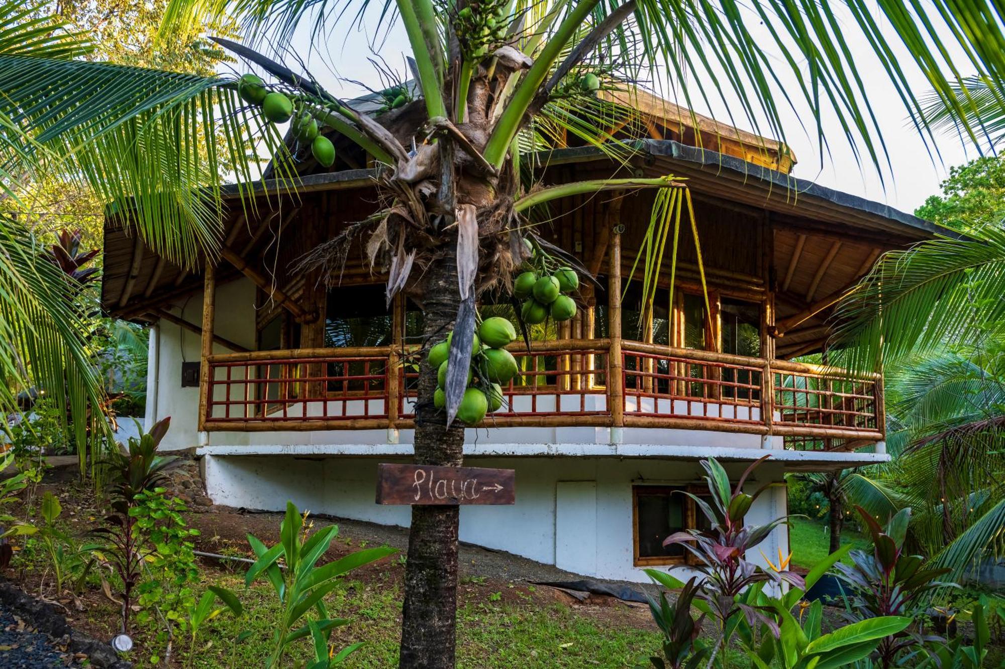 סנטה קתרינה Eco-Lodge Deseo Bamboo מראה חיצוני תמונה