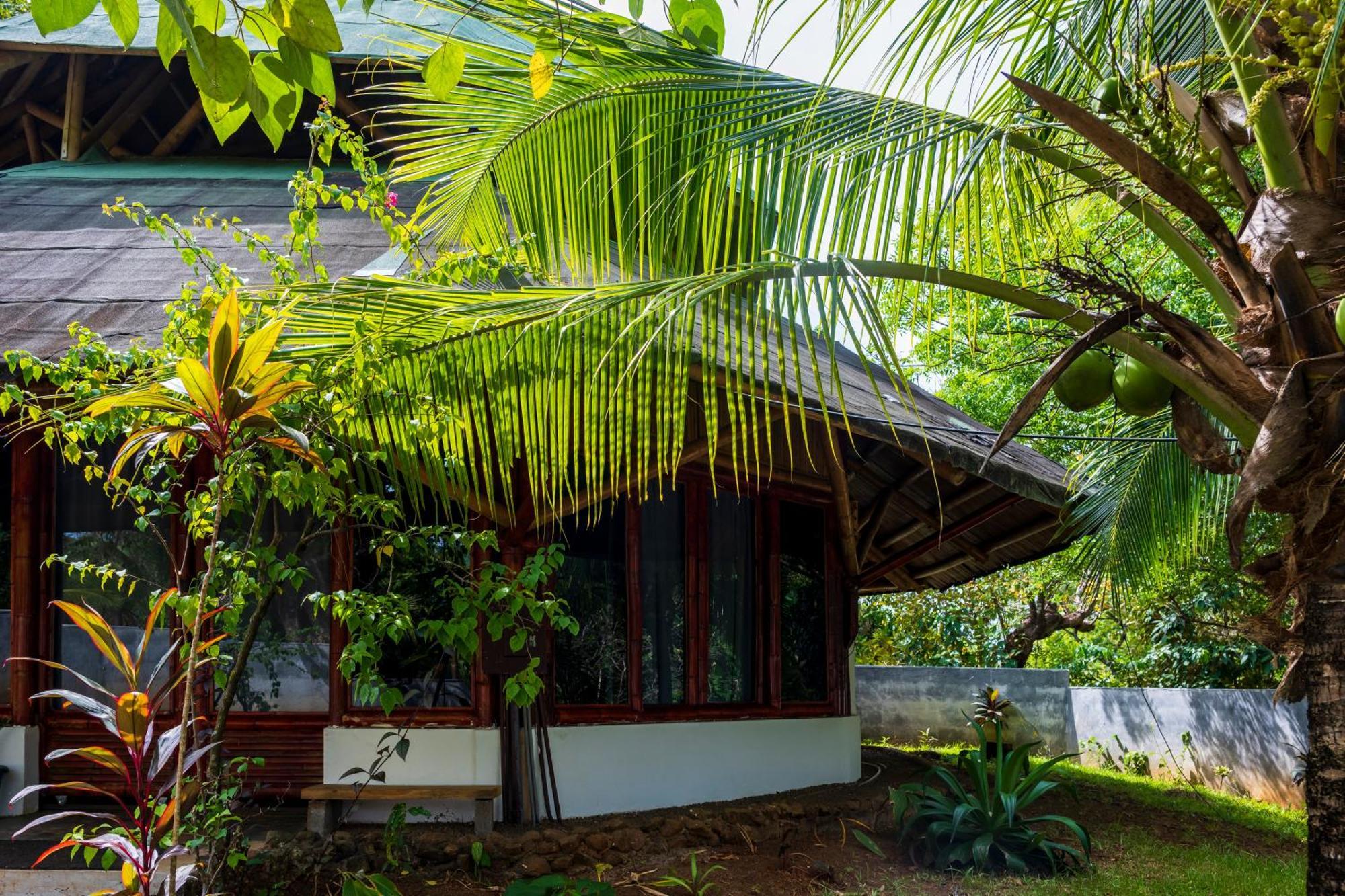 סנטה קתרינה Eco-Lodge Deseo Bamboo מראה חיצוני תמונה